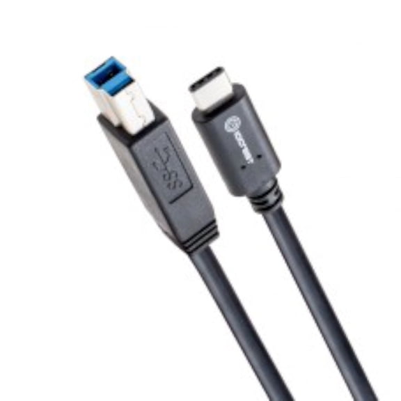 IOCrest USB 3.1 Cable, Type-C to USB 3.1 Standard-B Plug Cable, 10G / 3A - White