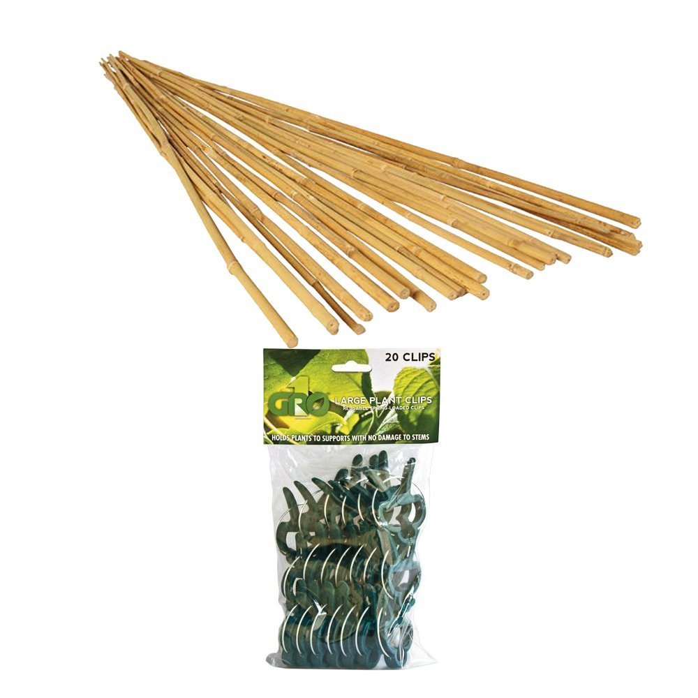 Bamboo Stakes 4 ft Pack Of 25, with Grow Large Plant Clips 20 Clips