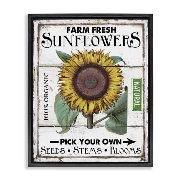 Stupell Industries Cottage Rustic Farm Fresh Sunflowers Black Floating Frame Canvas Art, 17 x 21, by Creatif Belle