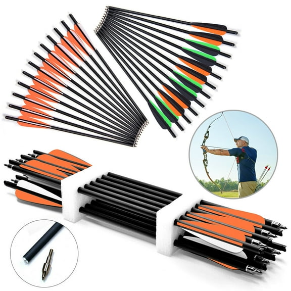 20 Inch Carbon Crossbow Bolts Hunting Archery Arrows with 4" Vanes Replaced Arrowhead Tips, 12 Pack