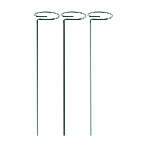 Ranliy 3/5Pcs Plant Support Stakes, Metal Single Stemmed Flower Support Hoops, Stainless Steel Garden Plant Stakes, Plant Cage Support Rings for Flowers Amaryllis Tomatoes Peony Lily Rose Narcissus