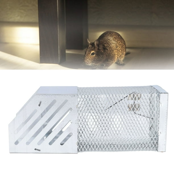 Cage De Piège à Souris, Piège à Souris Sans Cruauté étanche, Pratique Pour L'intérieur,  Le Restaurant, L'entrepôt 