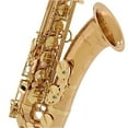 thumbnail image 2 of Yanagisawa TWO2 Tenor Saxophone Bronze, 2 of 5