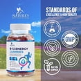 thumbnail image 5 of B12 Energy Gummies - 4500 mcg Vitamin B12 Per Serving - Extra Strength Chewable B12 Supplement for Energy, Metabolism & Immune Support - For Women, Men & Kids - Natural & Berry Flavored - 120 Gummies, 5 of 10