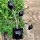 thumbnail image 3 of Grow Your Garden with Ease: 10pcs Reusable Plant Root Growing Box Cutting Grafting Rooting Box Garden Rooting Propagation Ball Breeding Equipment, 3 of 4