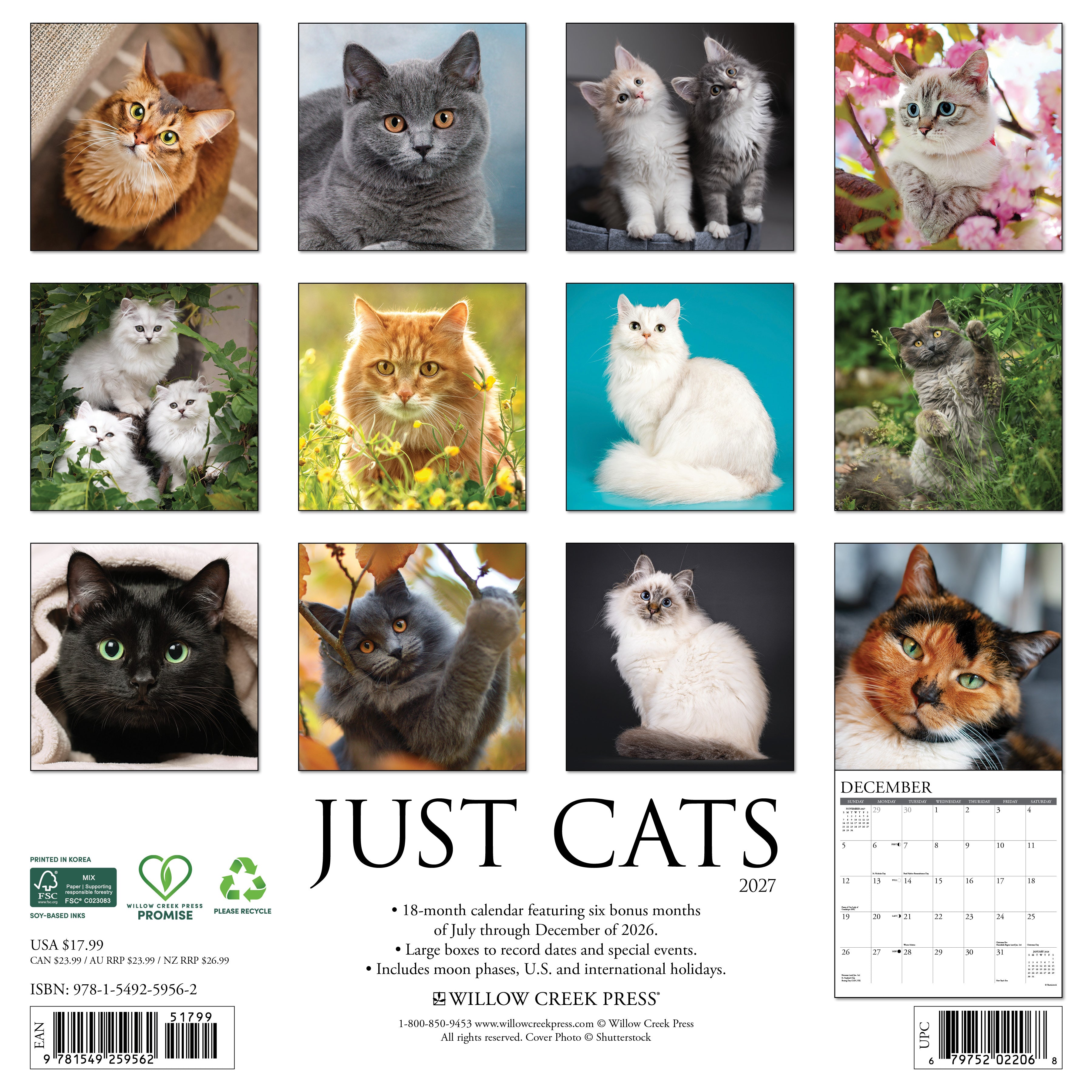 Willow Creek Press, Cats 2027 Wall Calendar