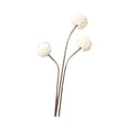 thumbnail image 3 of Flores secas para arreglos florales hechos a mano, accesorios de fotografía, centro de mesa rústico con plantas secas para fiestas en el dormitorio Estilo K, 3 of 8
