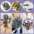 thumbnail image 5 of 120Pcs Dried Preserved Eucalyptus Stems and Lavender Flowers Bundles for Shower, 5 of 7