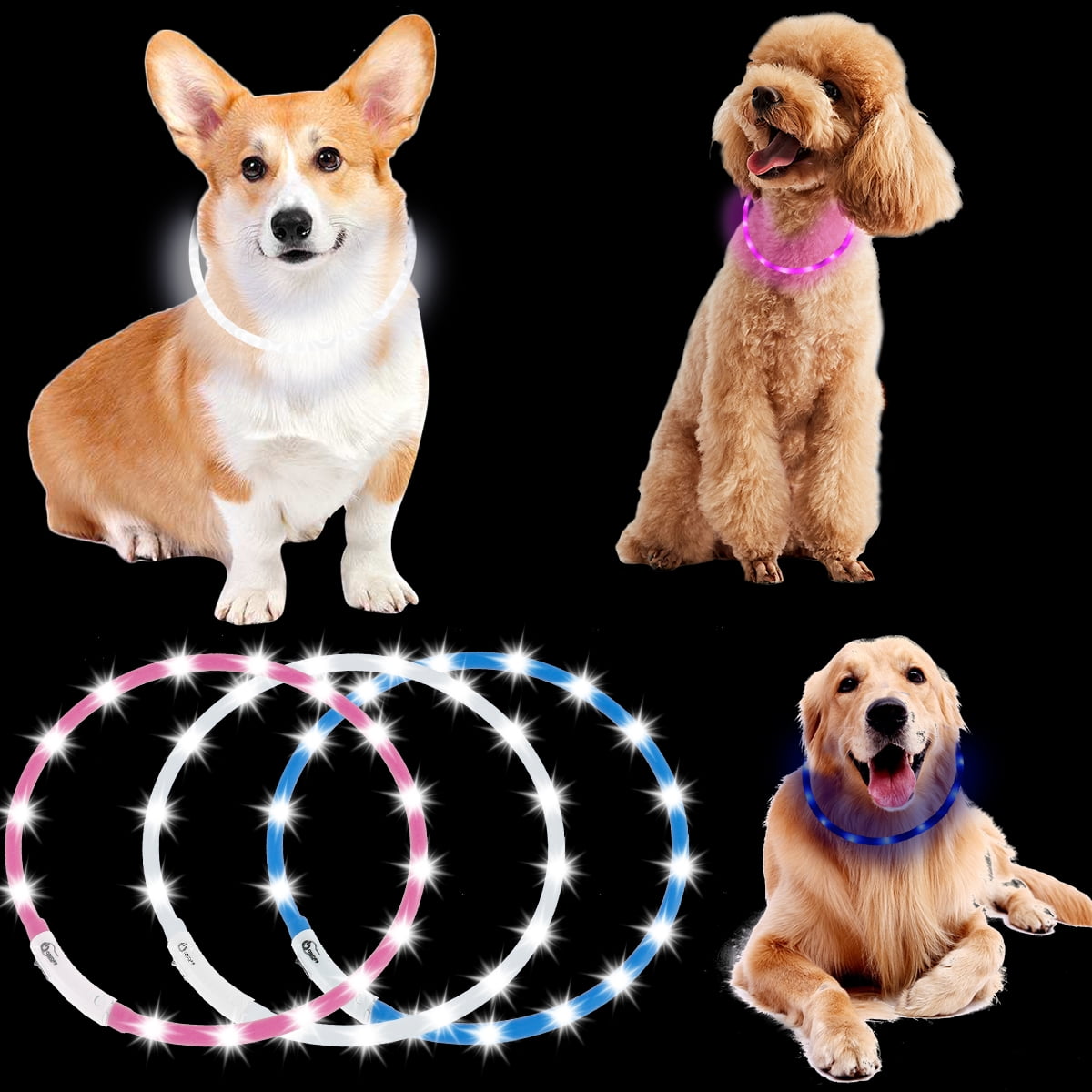 Should You Keep A Collar On A Puppy