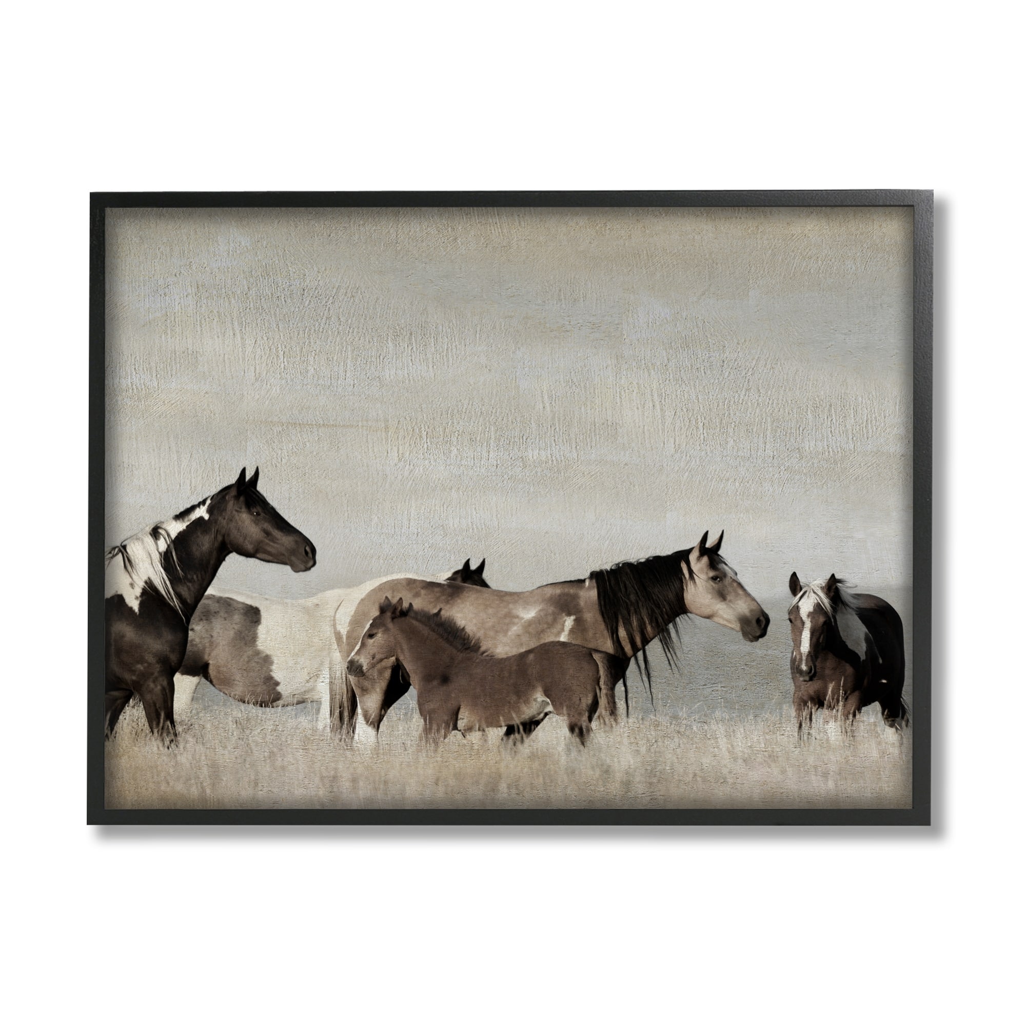 Stupell Industries Horse Family Foals Grazing Animals & Insects Photography White Framed Art Print Wall Art
