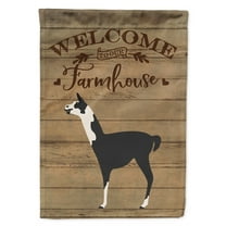 Carolines Treasures CK6862GF Llama Q Ara Welcome Garden Size outdoor-flags, Multicolor