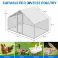 thumbnail image 5 of Dextrus Chicken Run Coop 6.6 x 9.8 x 6.4 ft Large Metal Chicken Coop Spire Shaped, Walk-in Hen Cage, Outdoor Poultry Cage with Waterproof Cover for Backyard, 5 of 11