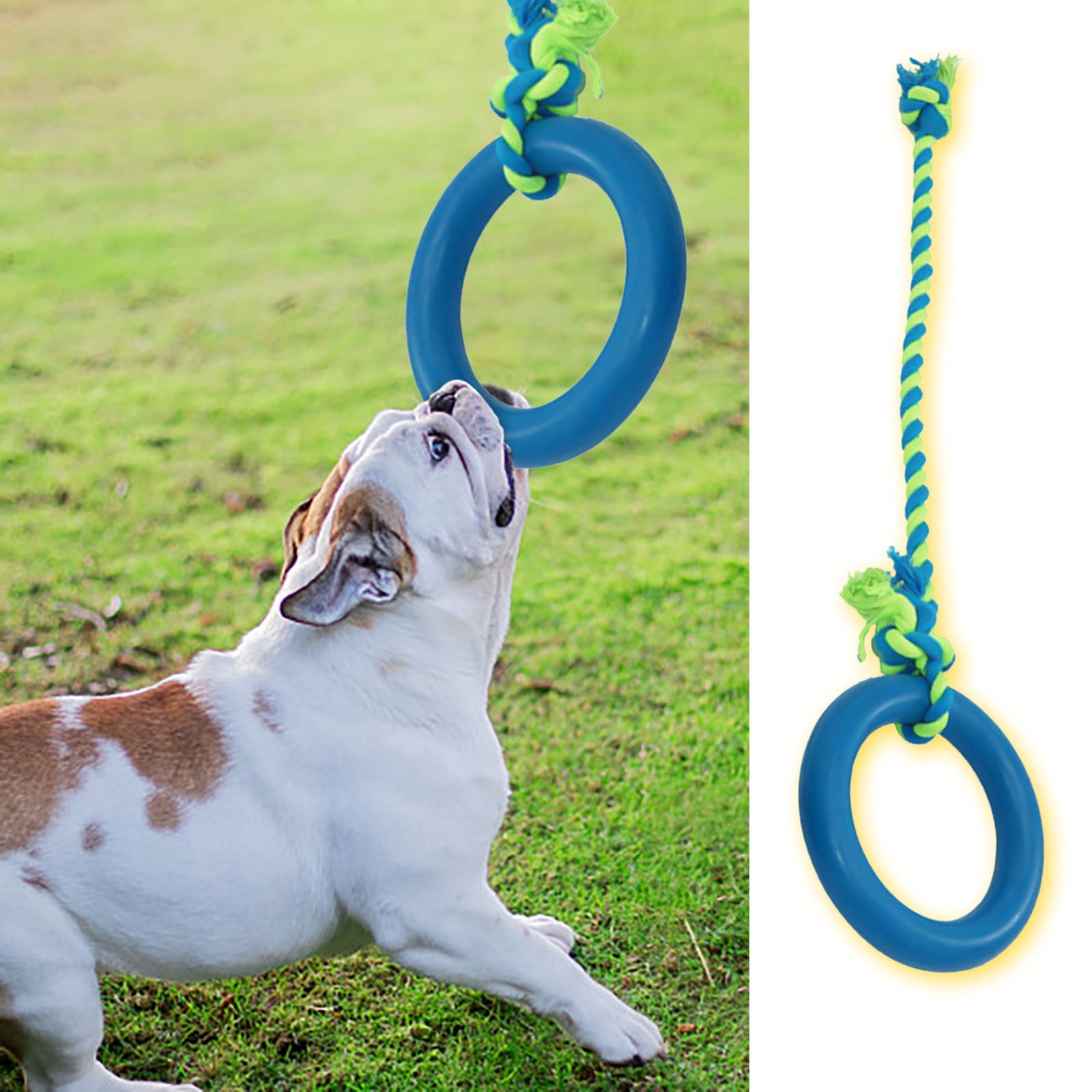 TIMIFIS Dog Toys Interactive Dog Toys, Tug Of War Dog Toys, Rubber Dog Chew Toys, Bright Colors, No Filler Dog Toys For Small Dogs - Fall/Winter