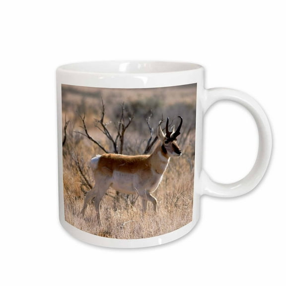 3drose, Antelope - Na02 Dfr0030 - David R. Frazier, 15oz Mug