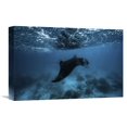 thumbnail image 1 of Global Gallery Barathieu Gabriel,'Manta Ray' Stretched Canvas Artwork, 1 of 3
