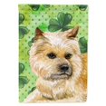 thumbnail image 1 of Bandera decorativa de lona para exteriores Caroline's Treasures Cn Terrier St Patrick's tamaño de casa multicolor, 1 of 1