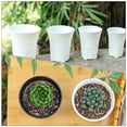 thumbnail image 5 of KAKOWELY Flowerpots 6Pcs Root Control Plant Pots Practical Plastic Flowerpots Gardening Flowerpots5.12"X4.13"X4.13", 5 of 5