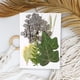 thumbnail image 5 of Yuarrent Hoja seca natural en relieve hojas prensadas decoración postal del hogar para tarjetas de boda de resina hoja verde 8 Type1 NO1, 5 of 6