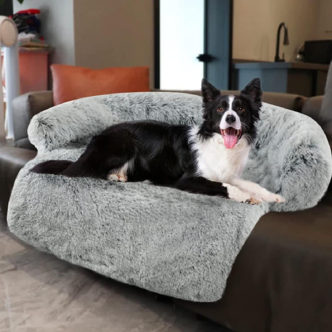 dog lounge protector