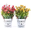 THE BLOOM TIMES Artificial Flowers Potted Small Fake Plants Plastic Floral Arrangements in Metal Pot for Home Farmhouse Office Table Top centerpieces counter Spring Decor Set of 2