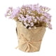 thumbnail image 3 of Lavanda artificial Gypsophila Cabezas de flores Decoración de bricolaje Púrpura claro, 3 of 8
