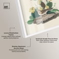 thumbnail image 3 of Prickly Pear Perch Shadowbox Print Botanical Art by Art Remedy, White Frame, 24 x 36, 3 of 6