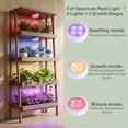 thumbnail image 3 of Grow Light for Indoor Plants, Rechargeable Grow Lights for Indoor Plant Full Spectrum, Wireless Plant Growth Lights for Indoor with Timer & Remote, Stepless Dimming, 3 of 8