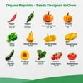thumbnail image 3 of Organo Republic - 25 Summer Vegetable & Greens Seeds Varieties - 6,510+ Non GMO Heirloom Garden Seeds, 3 of 7
