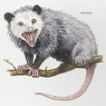 thumbnail image 2 of CafePress - Opossum Possum Animal - Adjustable Unisex Printed Trucker Hat with Mesh Back, 2 of 8