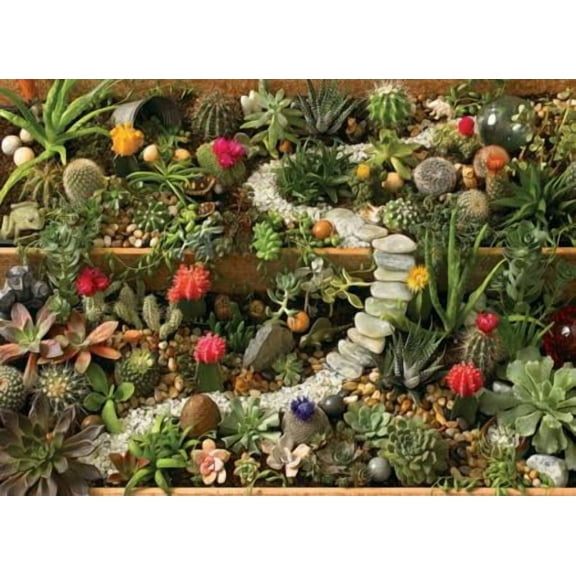 Cobblehill Puzzles (80157) 1000pc - Succulent Garden