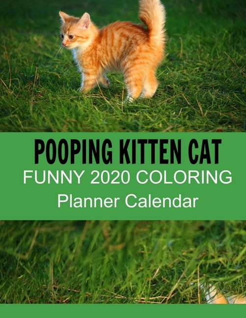 Pooping kitten Cat 2020 coloring Planner Calendar: Funny cat calendar Pooping kitten Cat 2020 coloring Planner Calendar: Funny cat calendar