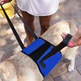 thumbnail image 2 of Cinturón auxiliar para mascotas Arnés de elevación clásico para mascotas mayores o perros enfermos subir y bajar escaleras, entrar y salir de vehículos azul (M) oso de fresa  Electrónica, 2 of 5