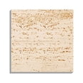 thumbnail image 1 of CIMAXIC Unique Photo Props 1Pc Pretty Photography Prop Cosmetics Jewelry Shooting Background Prop (Beige),3.94"X3.94"X0.79", 1 of 4