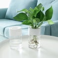 thumbnail image 4 of LCXmlly Plant Container Selfwatering Flower Pot Vegetable Herb Planter Home Decoration, 4 of 6
