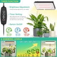 thumbnail image 4 of 2024 Upgraded Desk Grow Lights for Indoor Plants, Dual-Head 428 LED Tabletop Full Spectrum Grow Light, with 3/6/12H Timer, 6 Brightness Levels, 3 Lighting Modes, Height Adjustable for 10-26 inches, 4 of 14