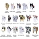 thumbnail image 3 of Cute Dog Planter Plant Pot,animal Flower Planter Pot For Garden Decors Hot, 3 of 4