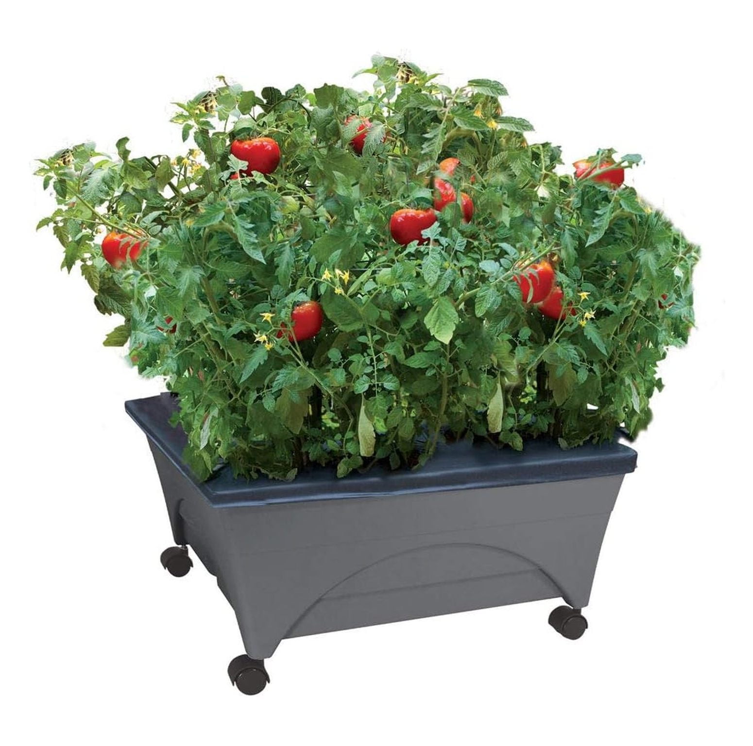 Fioriera Autoirrigante Algreen Covington, 50,8 Cm, Bianco, Design Classico Con Cornice, Polietilene Riciclabile