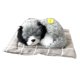 thumbnail image 1 of Muñeco de peluche de perro durmiendo realista Farfi con sonido para decoración del hogar, el coche y el cajero (Husky#), 1 of 8