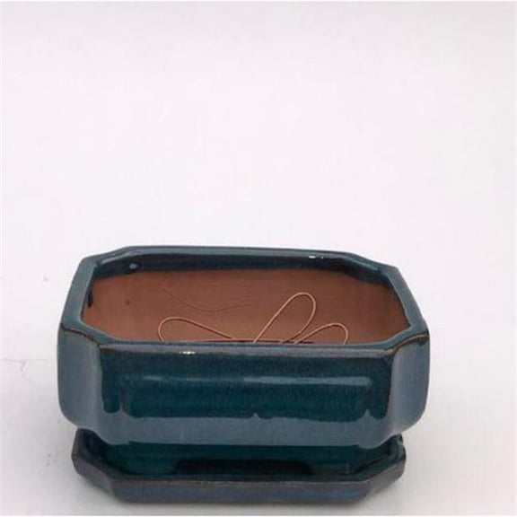 Bonsai Boy of   York L227a Blue & Green Ceramic Bonsai Pot - Rectangle Professional Series with Attached Humidity & Drip Tray - 8.25 x 6.5 x 4.0 in.