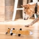thumbnail image 3 of Juguetes para Perros Resistentes y Patos Diseñados Específicamente para Masticadores Fuertes Juguetes para Perros Indestructibles Juguetes para Perros Resistentes y Patos Diseñados Específicamente pa, 3 of 5