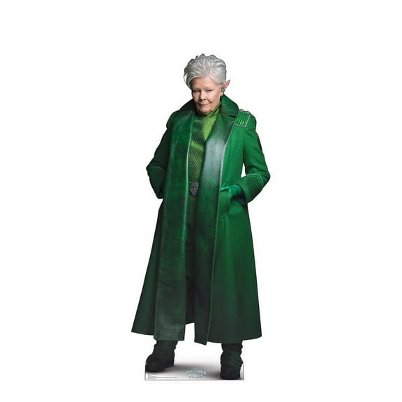 Artemis Fowl (Disney's Artemis Fowl) Cardboard Cutout Stand Up, 5 ft