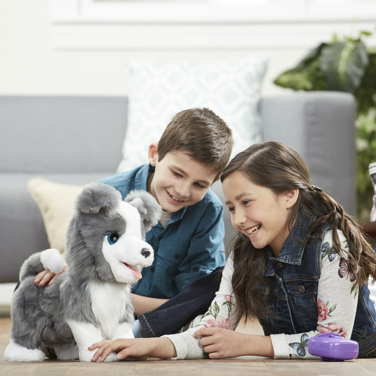 furReal Ricky, the Trick-Lovin' Interactive Plush Pet Toy 