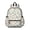 Dinosaur and Hill, variant on Dinosaur and Leaf Beige Pattern Backpack for School, Cute School Bag with Adjustable Shoulder Straps and Padded Back, 13.4"x11"x4.7"