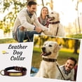 thumbnail image 3 of Collar de perro de cuero resistente para perros pequeños, medianos, grandes y extra grandes., 3 of 5