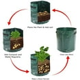 thumbnail image 5 of paquete de 4 macetas de jardín de 10 galones con asas y solapa de acceso para verduras, tomate, zanahoria, cebolla,patatas, contenedores de cultivo, bolsa de plantación de plantas ventiladas, 5 of 5