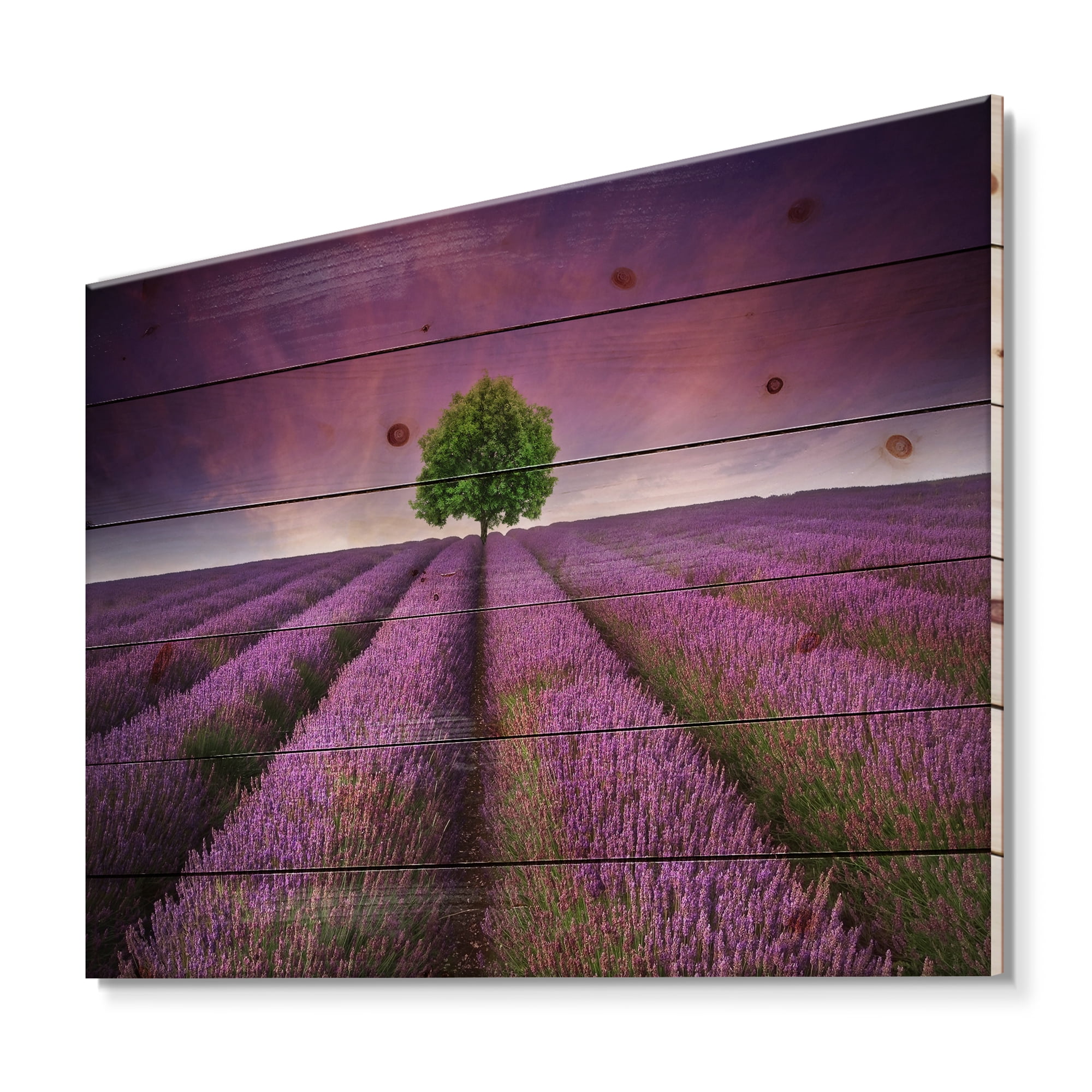 Designart 'Tree With Stunning Lavender Field Summer Sunset' Farmhouse Print on Natural Pine Wood