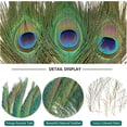 thumbnail image 4 of Plumas de pavo real THARAHT, naturales, 25 a 30 cm, para manualidades, 24 unidades, 4 of 7