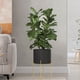 thumbnail image 1 of Organizador de carretes para manguera de jardín | Almacenamiento y soporte para mangueras | Uso exterior para jardín, césped y patio | Para mangueras, herramientas y equipos de jardinería, 1 of 6