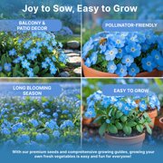 Organo Republic Cape Forget-Me-Not Seeds – 1,400+ Non-GMO Heirloom Seeds, 3g Packet for Planting Flowers Indoors & Outdoors, Pollinator-Friendly Blue Blooms for Home Garden