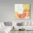 thumbnail image 3 of Trademark Fine Art 'Citrus Splash II' Canvas Art by Veronique Charron, 3 of 3